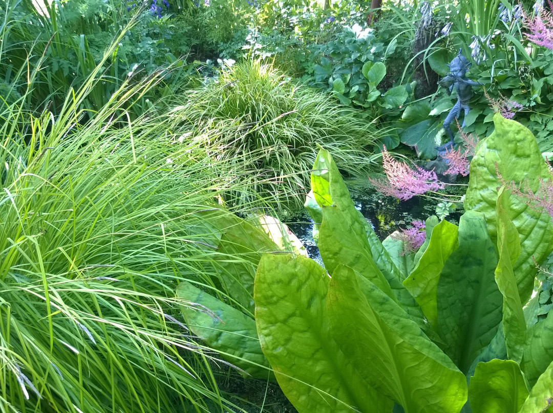 Terra Nova Garden-利默里克必去景点