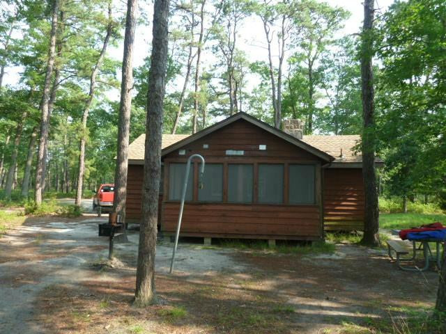 Bass River State Forest-Tuckerton必去景点