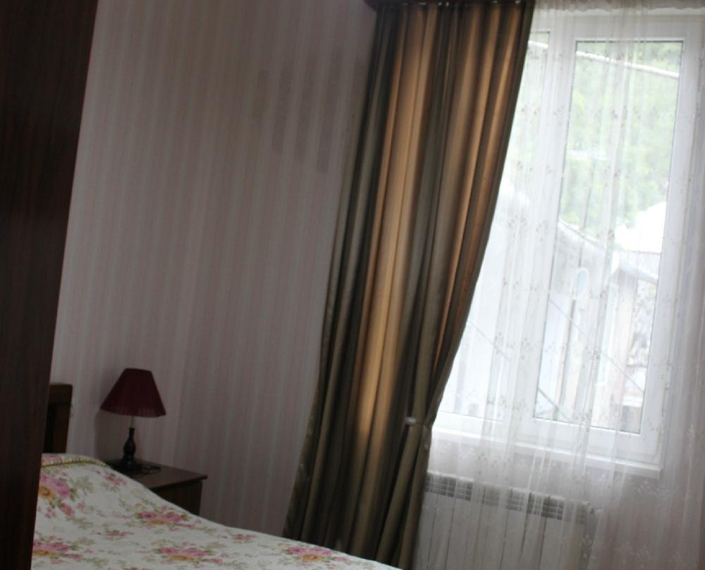 Borjomi Park Guest House主图