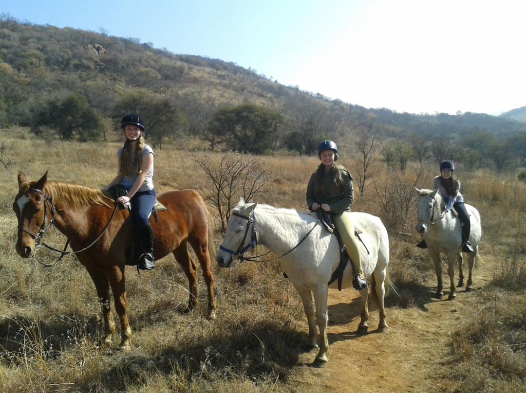 Klipriviersberg Nature Reserve Horse Trails景点图片