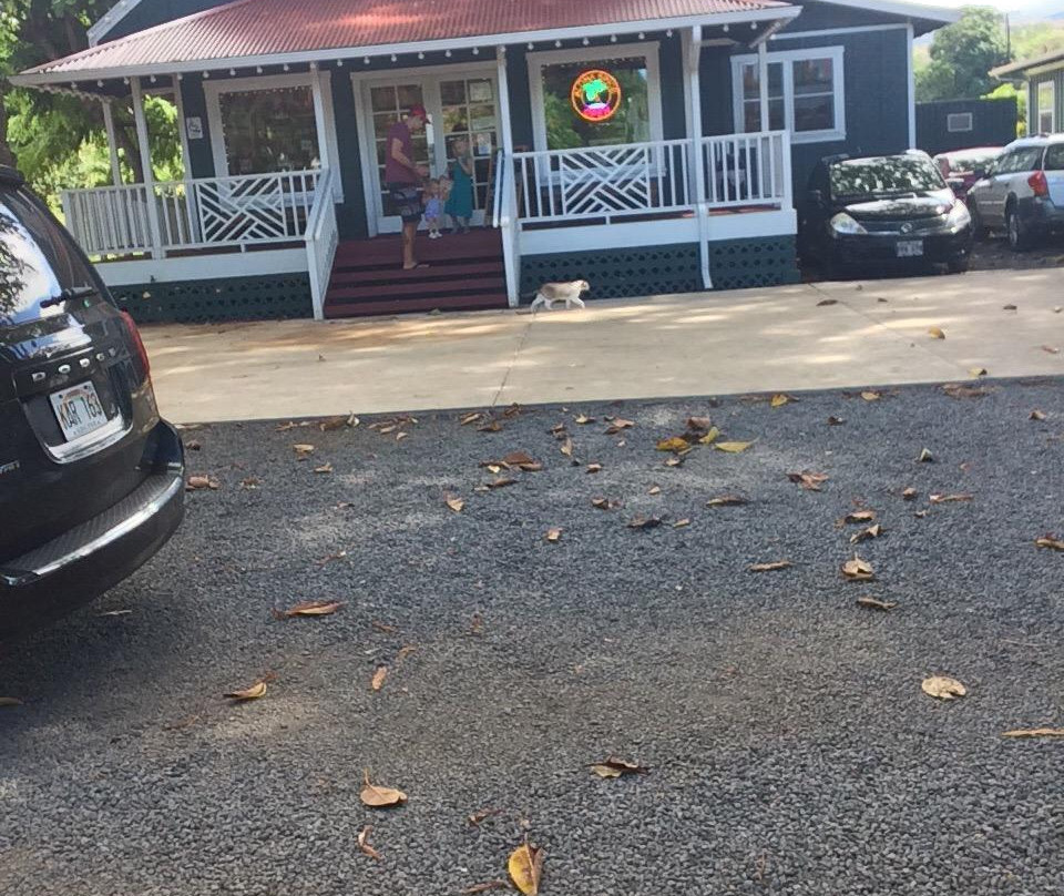 Aloha Spice Company-哈纳佩佩必去景点