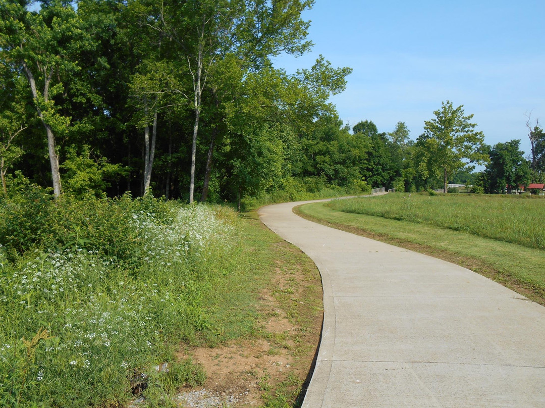 Don Fox Community Park景点图片