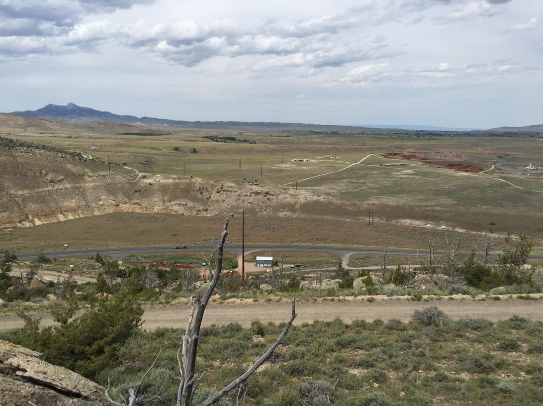 Cedar Mountain Trail Rides-科迪必去景点