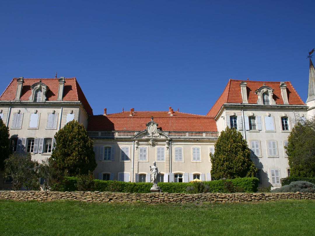Château de Vaudieu景点图片