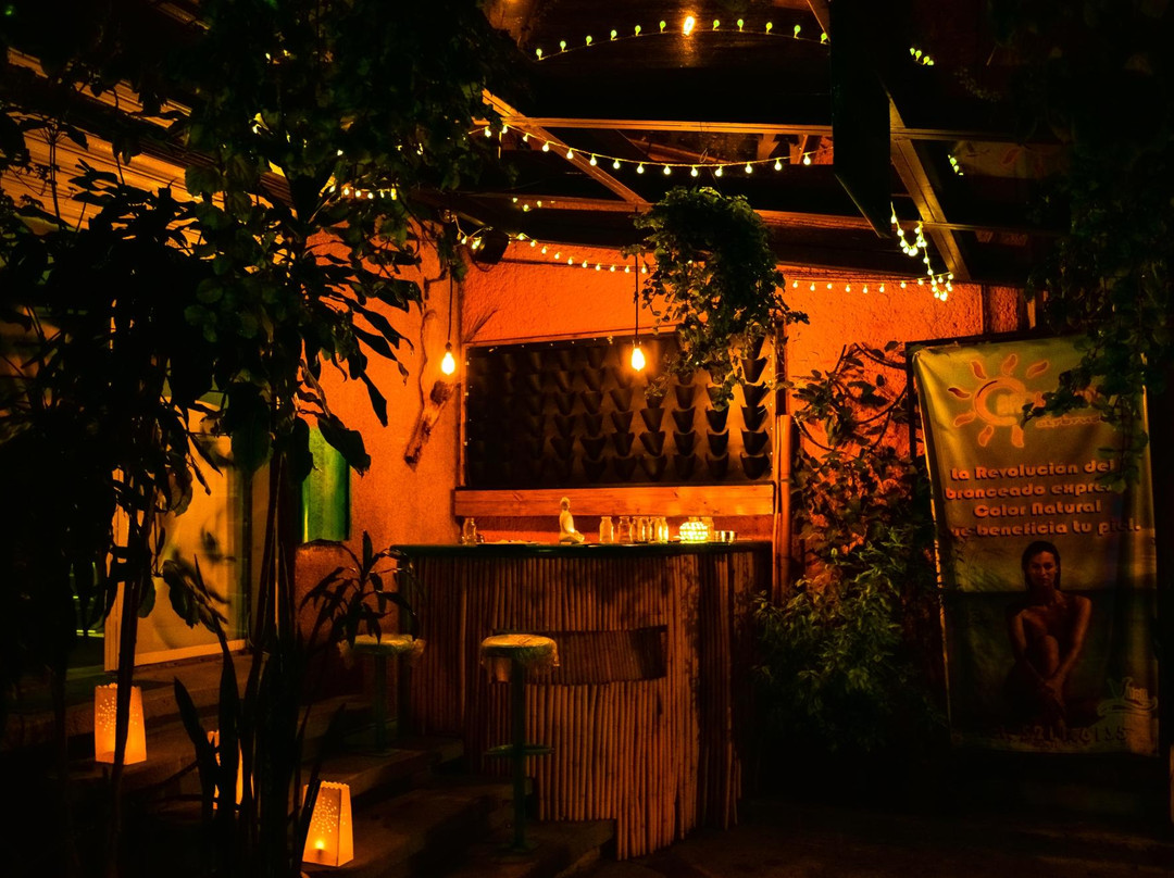 Vitali Intra Spa-墨西哥城必去景点