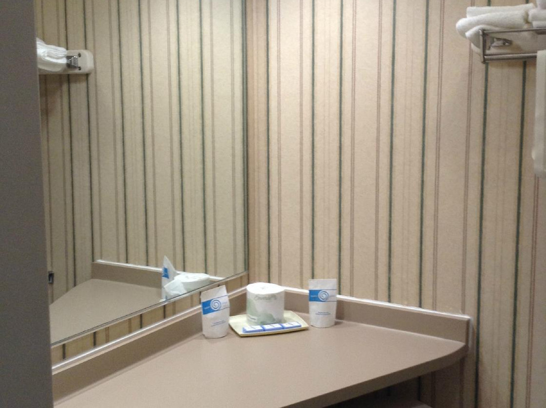 Dollinger's Motor Inn主图