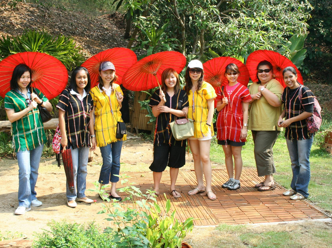 Elephant Life Experience-夜登必去景点