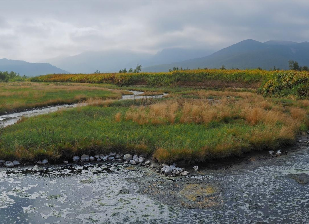 Nalychevo Nature Park-Yelizovo必去景点