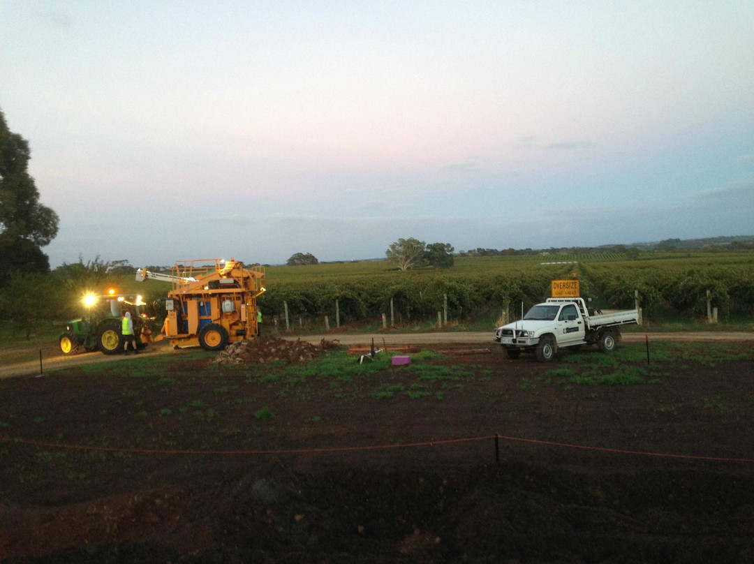Kangarilla Road Winery景点图片