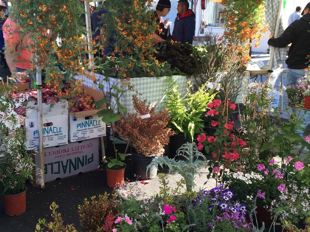 Downtown Palo Alto Farmer's Market-帕罗奥多必去景点