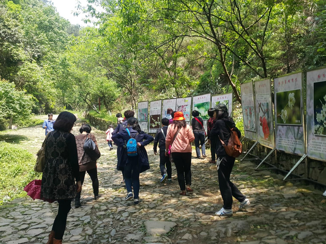 南雄梅关古道-南雄市必去景点