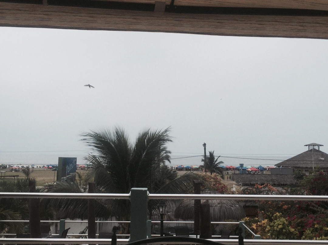 Hosteria Palmetto主图