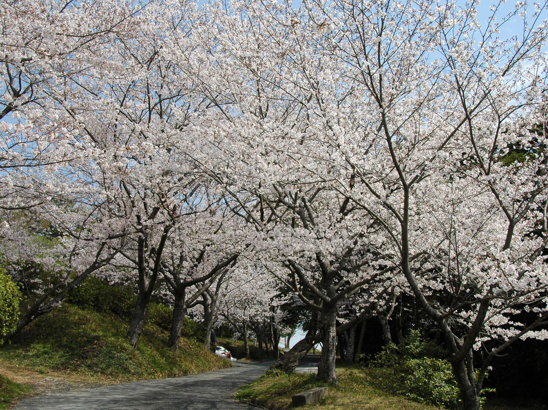 Jagatani Park-玉名市必去景点