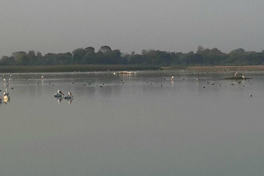 Menar Lake景点图片