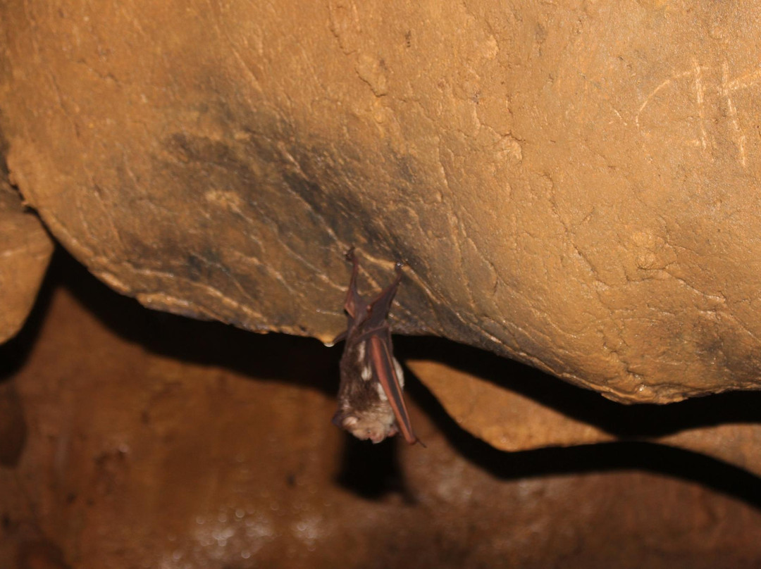 Kulabyaw Cave景点图片