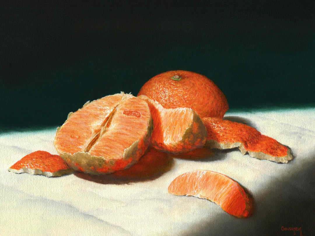 The Saffron Walden Gallery景点图片