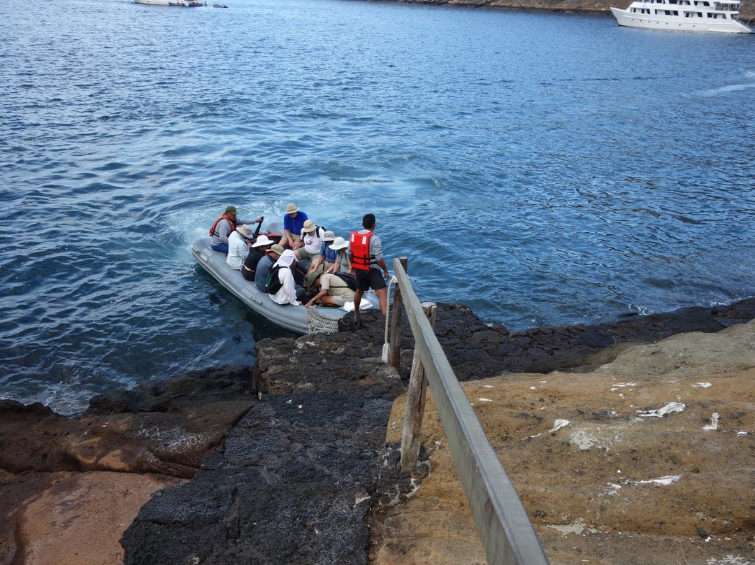 Tagus Cove-伊莎贝拉岛必去景点