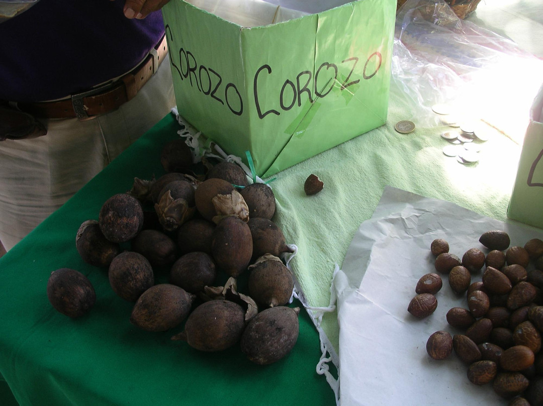 Mercado Orgánico Huatulco-Crucecita必去景点