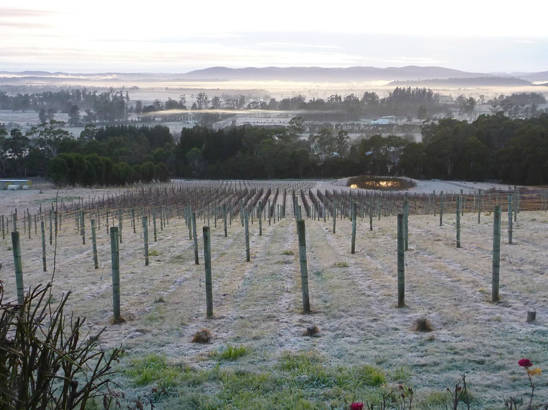 Grey Sands Vineyard-Glengarry必去景点