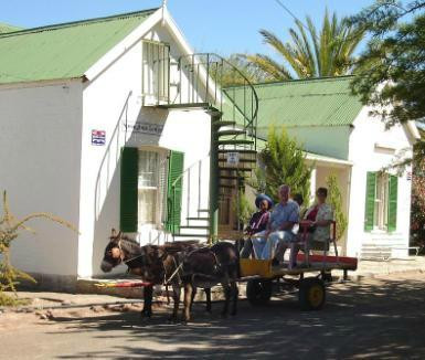 Springbok Lodge Merweville