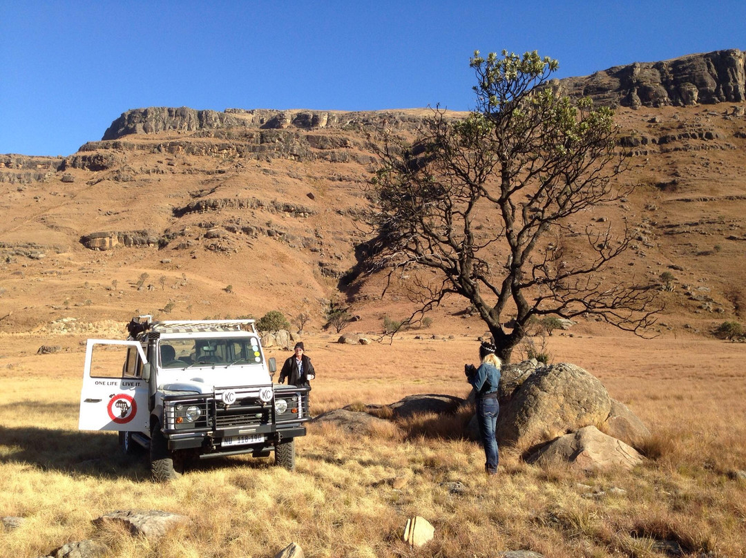 Roots 4x4 Tours Day Tours景点图片