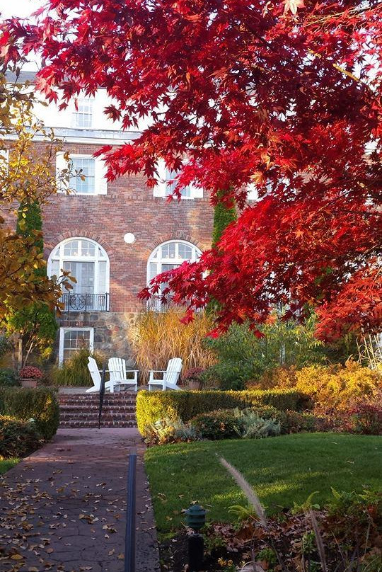 The Spa at Norwich Inn - Spa Treatments-诺威奇必去景点