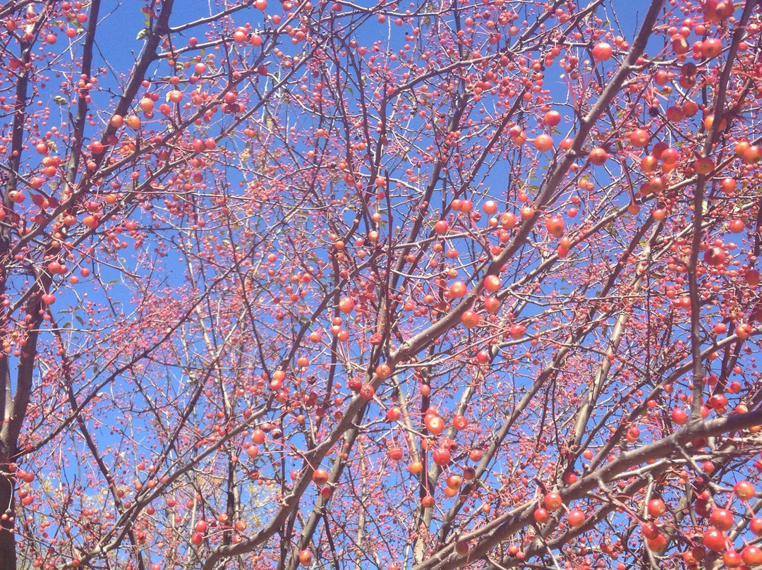 Montgomery County Historical Society-罗克维尔必去景点