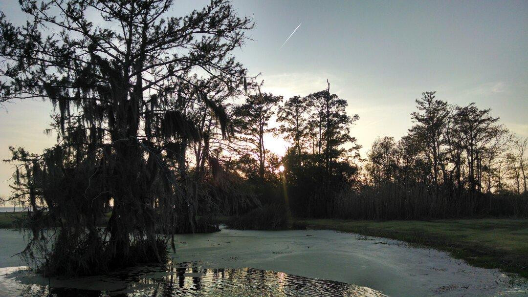 Fontainebleau State Park-Mandeville必去景点