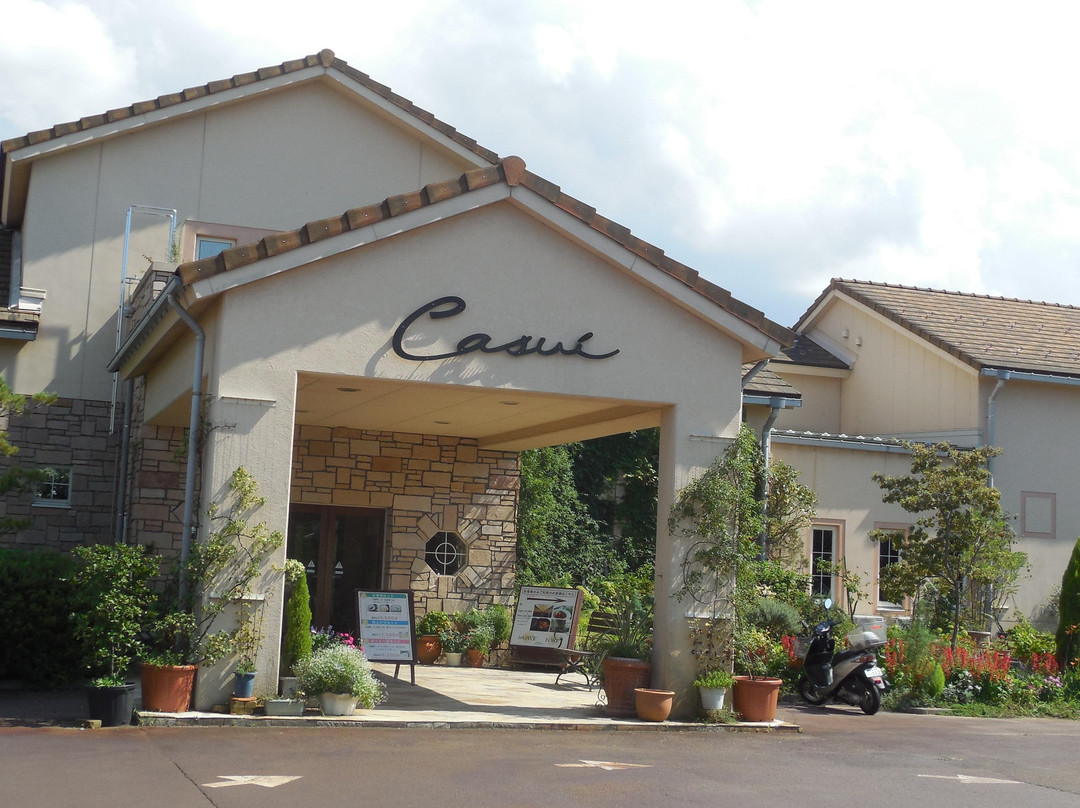 Akiha Spa Casui-新泻市必去景点