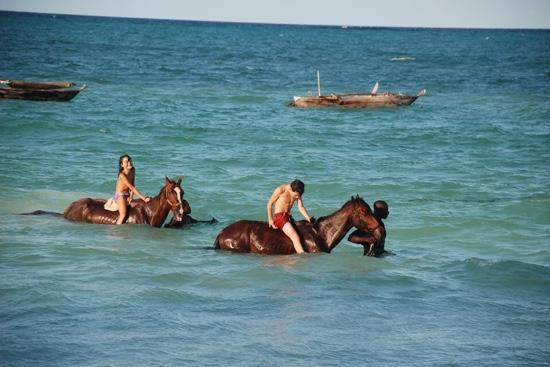 Maisha Mazuri Horse Riding Club-基万嘎必去景点