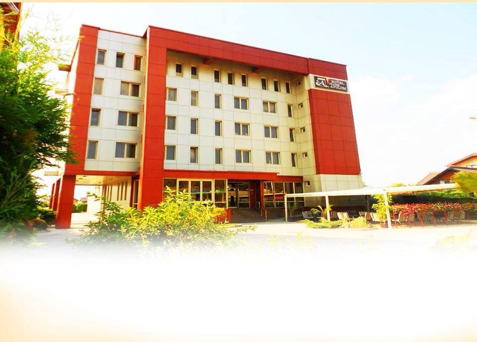 Hotel Grandis Apulum-酒店景观