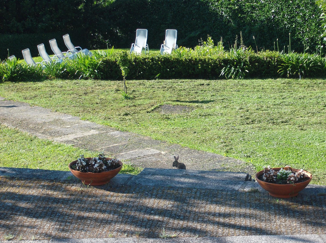 Quinta de Santo Antonio do Pombal主图