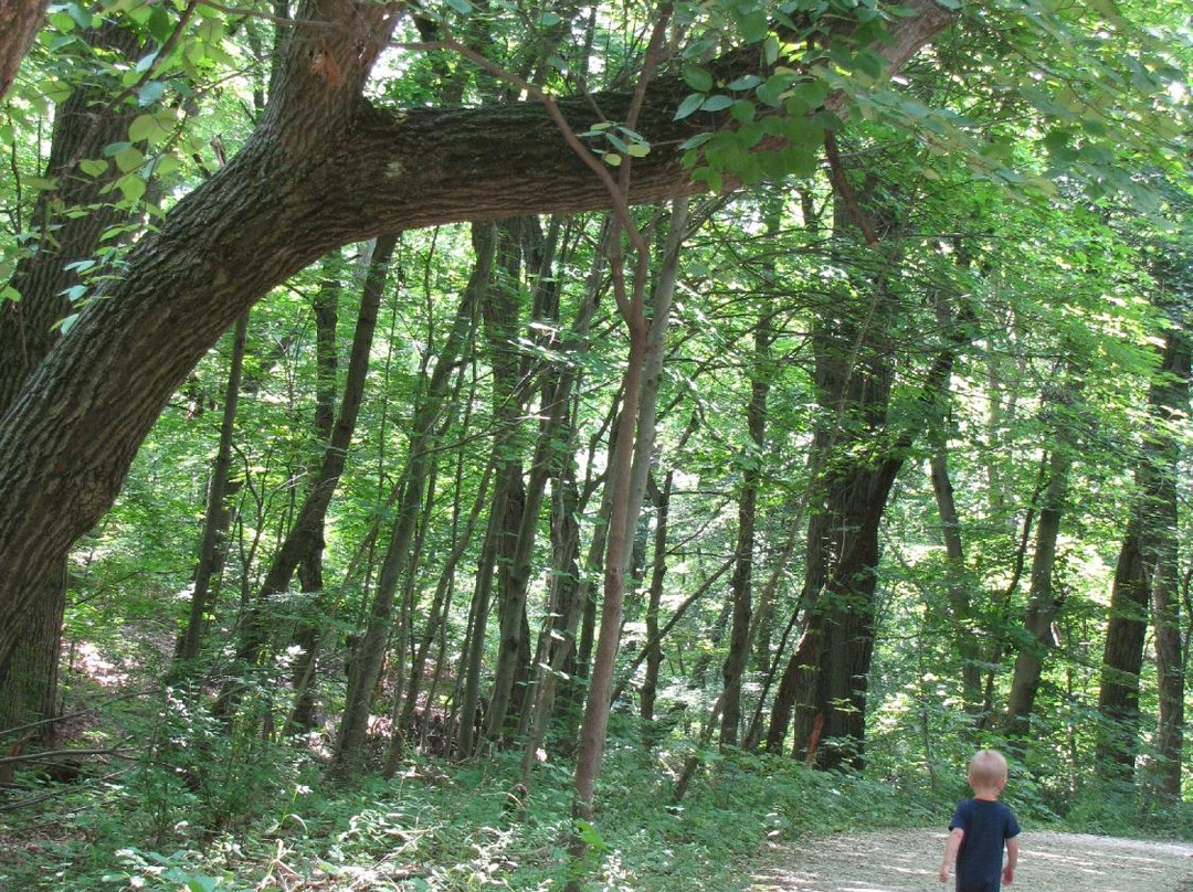 Highbanks Metro Park-Lewis Center必去景点