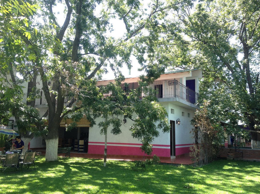 Parras de la Fuente酒店住宿-Casa Maru Hotel