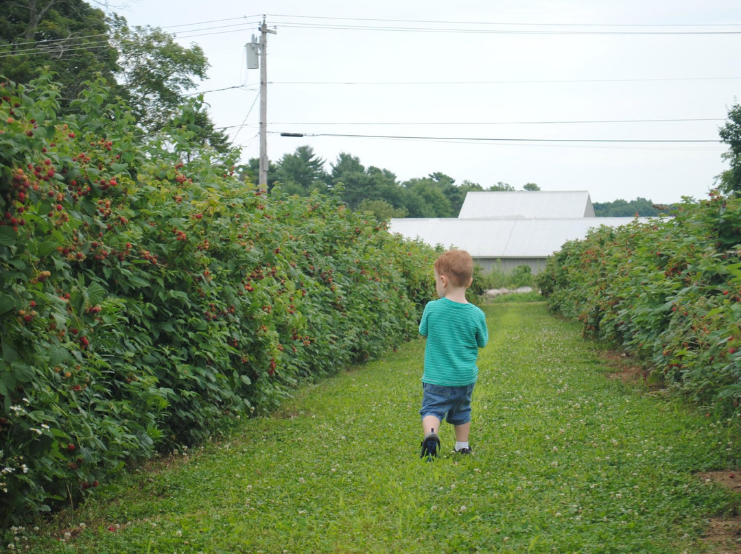 Dondero Orchards-South Glastonbury必去景点