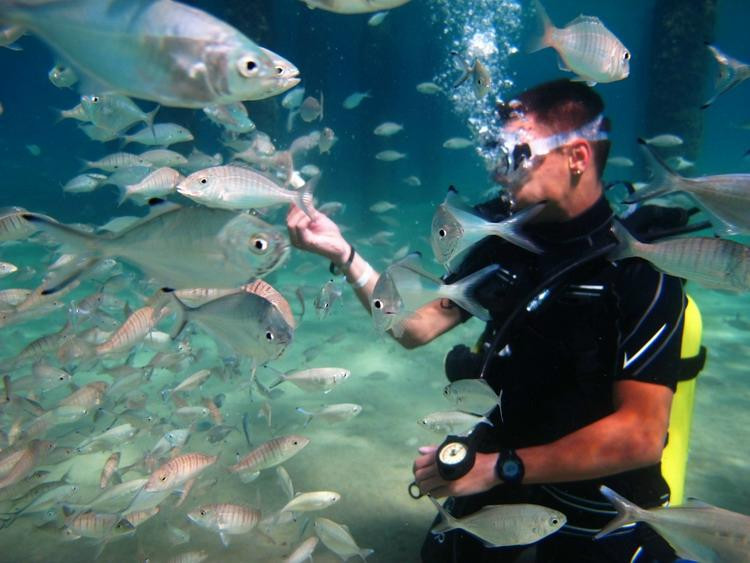 Scuba Turtle Diving-Incekum必去景点
