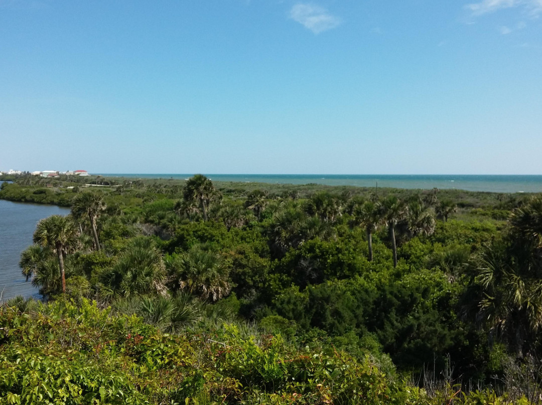 Turtle Mound National Historic Site景点图片
