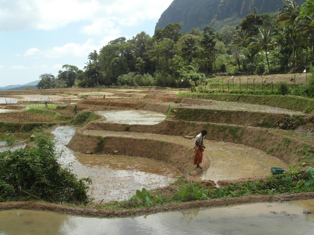 Knuckles Mountain Range-中央省必去景点