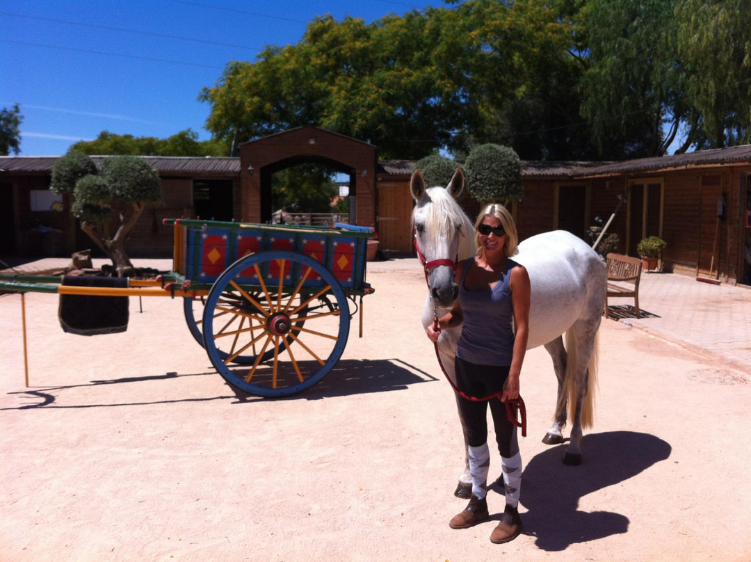 Country Riding Centre-Silves必去景点