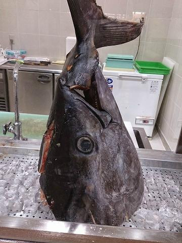 九州すし市場 ゆめタウン光の森店