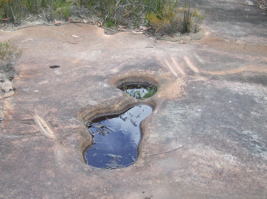 Bulgandry Aboriginal Engraving Site-Kariong必去景点