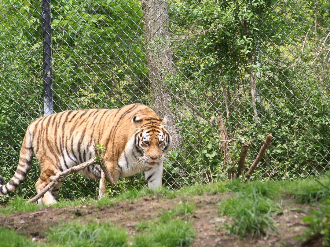Pittsburgh Zoo & Aquarium景点图片