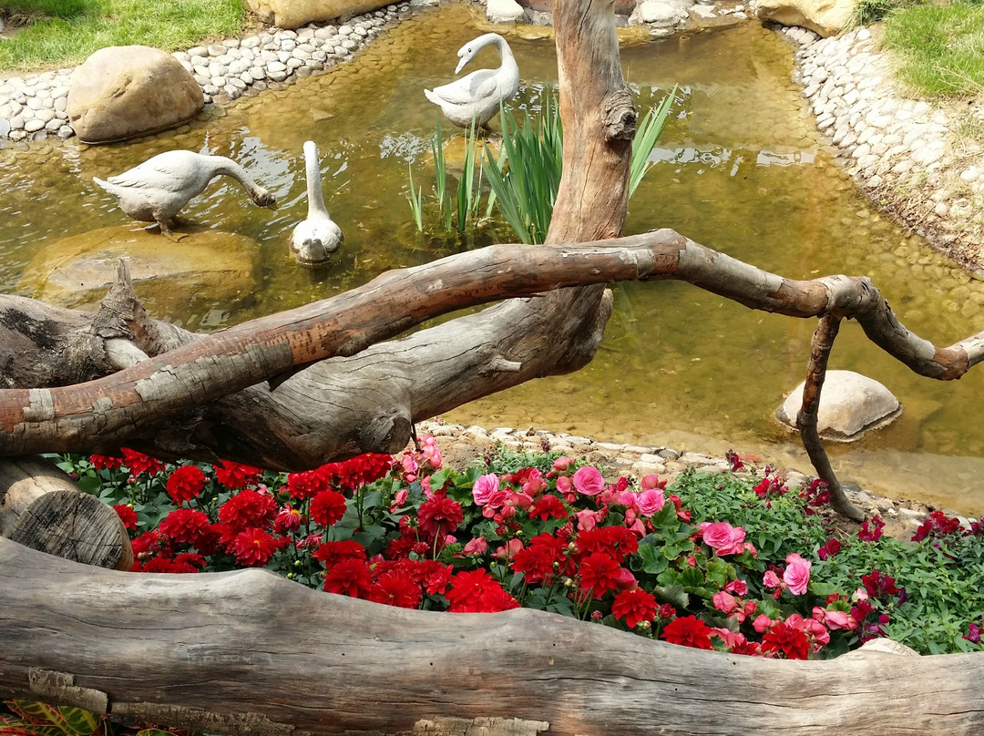 园博园-北京市必去景点