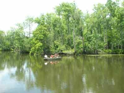 Becks Lake Fish Camp景点图片