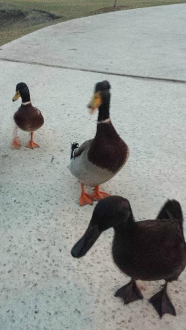 River Road Park-Boerne必去景点