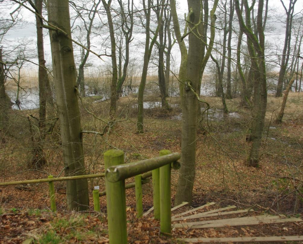 Art Centre Silkeborg Bad-锡尔克堡必去景点