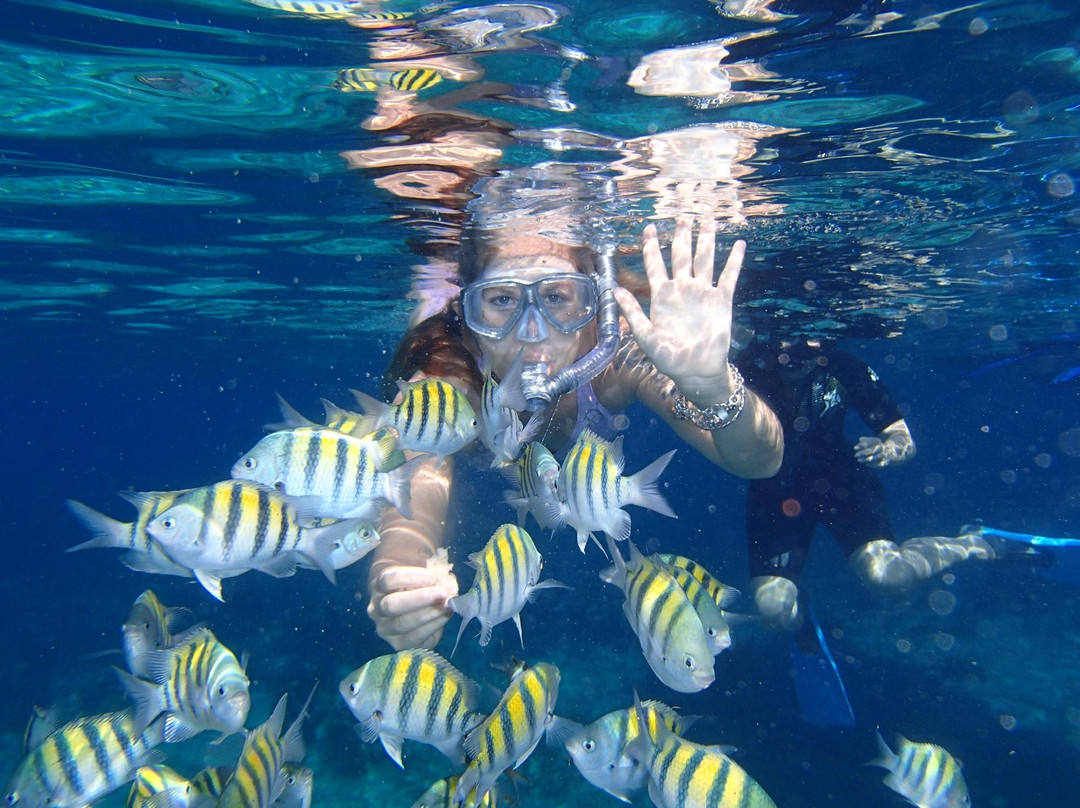 Sunbaby Glass Bottom Boat-内格里尔必去景点