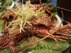 Gallery 1