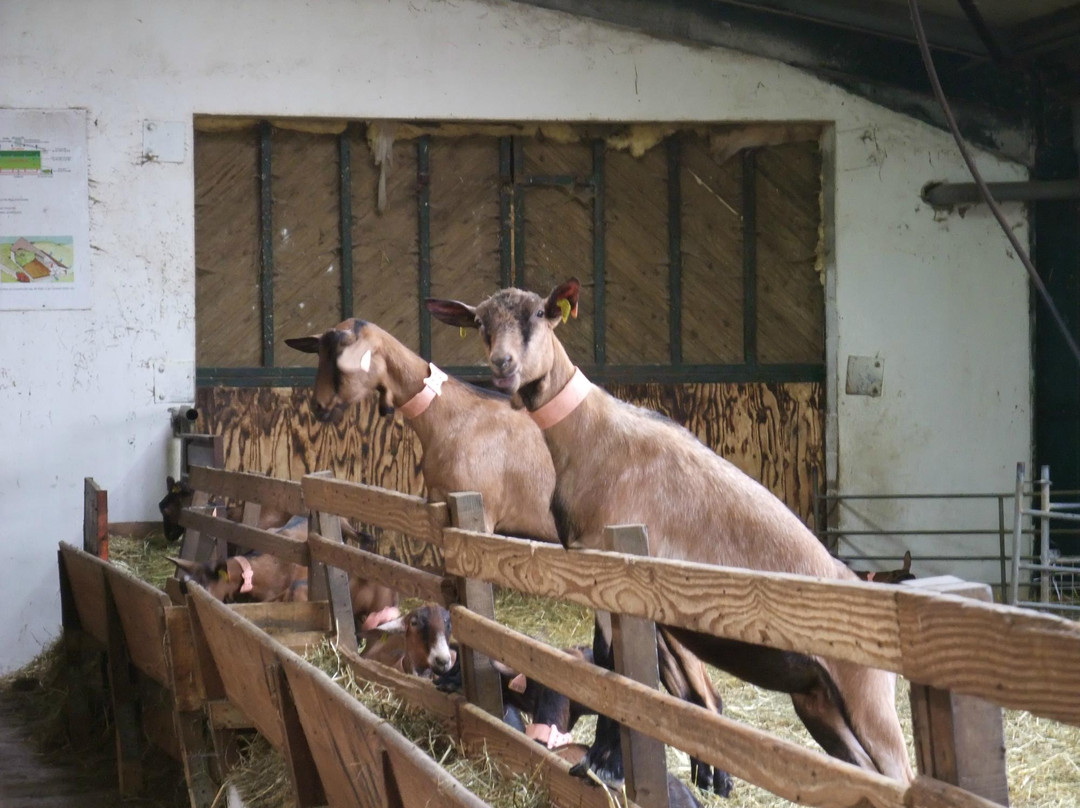 Ferme La Borie D'Imbert景点图片