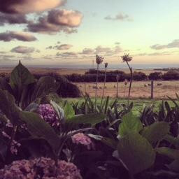 Tower Hill House主图